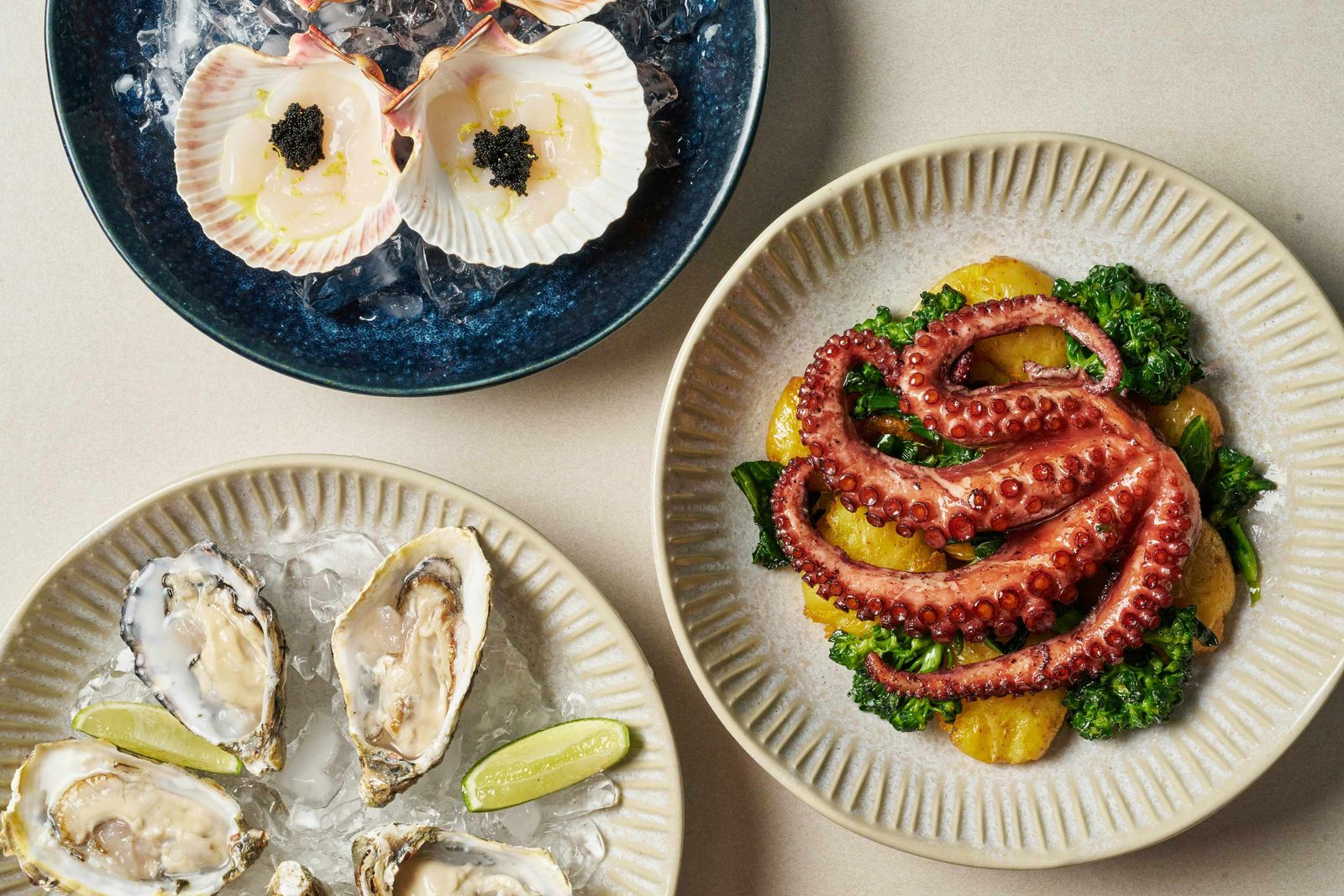 Oysters, scallops, and octopus laid across a table